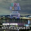시민체육관(가림산 둘레길 화장실) | 뚝섬 드론쇼 9월 10월 일정 시간 주제 명당 꿀팁 주차 준비물 총정리