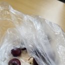 한아름세탁소 이미지