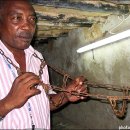 쿤타킨테 이미지