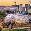 2025년 화순 명소 버스킹 이미지