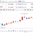 신흥항공주 티스토리