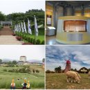 승하환경(주) 이미지