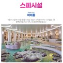 스플라스리솜 네이버블로그