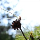 산본중앙공원 이미지