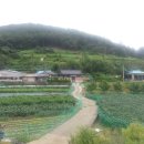 대종2리 이미지