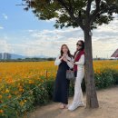 수복찜갈비 이미지