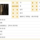 불광동물병원 이미지