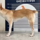 빅포클럽 이미지