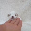 (주)아라마루 이미지