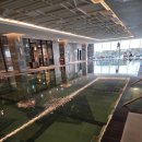 퐁당온수풀엔스파 | JW 메리어트 제주 수영장 이용방법 후기 겨울에도 따듯한 실내 야외 온수풀 아이랑 추천 이유