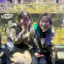 쥬플로우