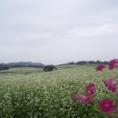 공음농장 이미지