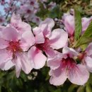 장성공설운동장 11 이미지