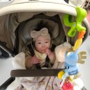 (주)아메리칸트레일러롯데몰진주점 | 광명 이케아, 롯데몰 다녀온 후기