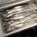 보물바다 이미지