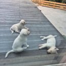 자발적 고립 이미지