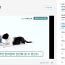 하나사랑동물병원 이미지