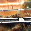 일송대게 이미지