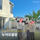 멍'블랑 | 경주월드 독채 펜션 누아르블랑 풀빌라 대가족 여행