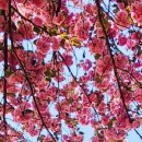 충혼탑화장실 이미지