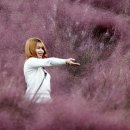 정읍사공원 이미지