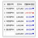 광역시 최신 인구 근황 이미지