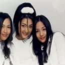 드림컴트루