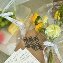 메종드비 | 동탄 소규모 쌍둥이 돌잔치 :: 메종드페 추천후기