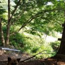 언제나방목닭민박 이미지