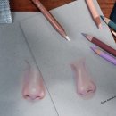 색연필화(기초) 이미지