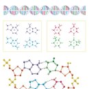 단백질 분해 효소 이미지