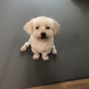 봄봄석적점 | 제목 뭘로 하지...?