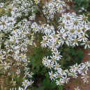 직산농장 이미지