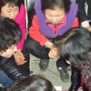 금산수삼센타 이미지