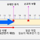 열왕의 준동과 3차 세계전쟁 이미지