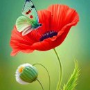 봄날부동산중개 이미지