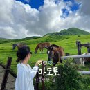 대술화산천공중화장실 | 구마모토 여행코스 3곳 아소산 야시장 사쿠라노바바 조사이엔