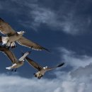 교동택지주유소 이미지