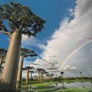 장성공공도서관 이미지