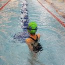 P&S 수영장 이미지