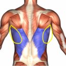 오늘의 다GYM 네이버블로그
