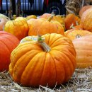 대세2농장 이미지