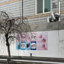 이니스프리 포천점 | [1월 성수 팝업 방문한 두 곳] 장인약과 &amp; 이니스프리 산리오 팝업