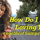 How Do I Stop Loving You(Engelbert Humperdinck) 이미지