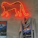 부티앤피지크 이미지