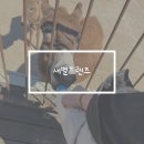 제주 애월 아이랑 새별프렌즈 후기
