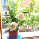 과천시민한의원 이미지