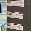 슬로우도 | 강남 이색카페 : 슬로우커피 재방문 후기