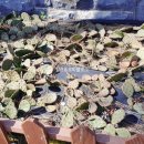 낙지공원 노을길야영장 무인카페 이미지