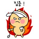 제스트 골프 아카데미 이미지